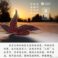 香妃免费下载新版,经典重现免费下载 惊悚来袭观众心慌慌-1
