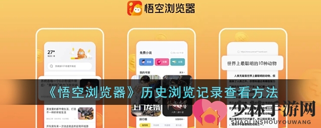《悟空浏览器》历史浏览记录查看方法
