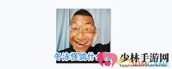 冬泳怪鸽什么梗