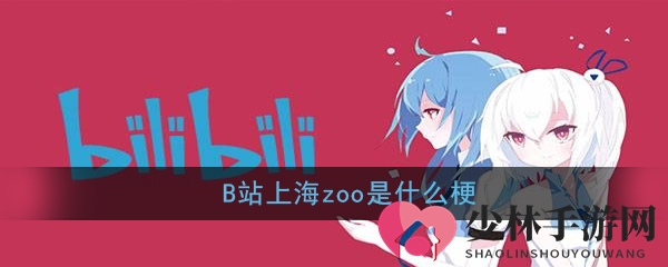B站上海zoo是什么梗