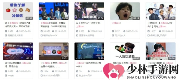B站上海zoo是什么梗