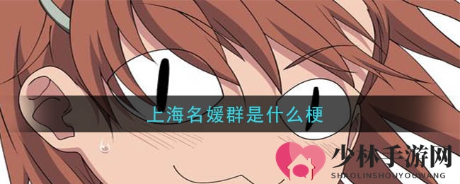 上海名媛群是什么梗