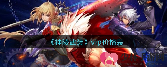 《神陵武装》vip价格表