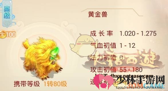 首发宠物推荐