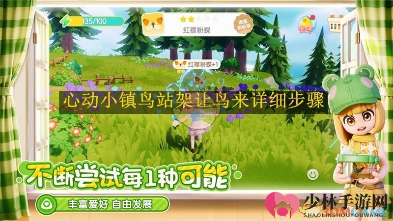 《心动小镇》鸟站架招鸟详细步骤