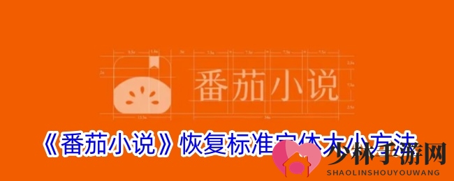 番茄小说恢复标准字体大小方法