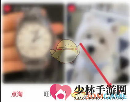 《点淘》查看元宝明细方法
